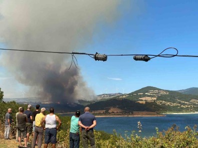 Bayramiç'te Orman Yangini