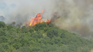 Bayramiç'teki Orman Yangini Kismen Kontrol Altina Alindi
