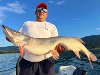 10 Kiloluk Turna Baligini Görünce Tepkisi Güldürdü Açiklamasi 'Benim Bahçemdeki Kuzulardan Büyük'