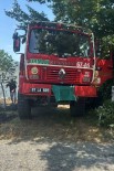 Alapli'da Findik Bahçesinde Yangin