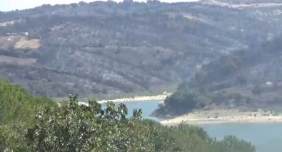 Çanakkale'de Orman Yanginini Kontrol Altina Alma Çalismalari Sürüyor