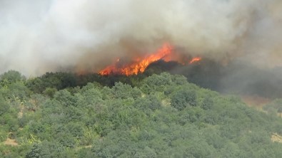 Çanakkale Valiligi'nden Orman Yanginlarina Karsi Uyari