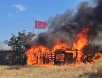 Edirne'de Agil Ve Tarim Arazileri Alev Alev Yandi Haberi