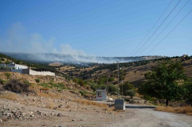 Kilis'te Orman Yangini Açiklamasi 50 Dönüm Arazi Kül Oldu