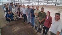 Rektör Kirisik Hadrianopolis Antik Kenti'ni Gezerek Çalismalar Hakkinda Bilgi Aldi Haberi