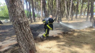 Çamlikta Tehlikeden Dönüldü