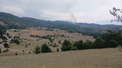 Osmancik'ta Çikan Orman Yangini Kontrol Altina Alindi