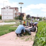 Sorgun'da Çevre Düzenlemesi Haberi