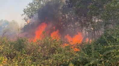 Uzunköprü'de  Kati Atik Depolama Tesisinde Baslayan Yangin Ormanlik Alana Siçradi