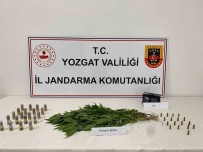 Yozgat'ta 14 Kök Kenevir Ele Geçirildi Haberi