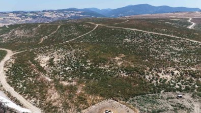 Çanakkale'de Küle Dönen Alanlar Yeniden Yeseriyor
