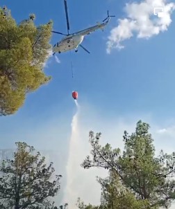 Çorum'da Orman Yangini Açiklamasi Havadan Ve Karadan Müdahale Ediliyor