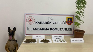 Jandarmadan Uyusturucu Operasyonu