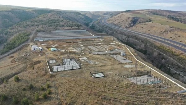 CHP'nin hayvanseverlik algısı çöktü: Sokak hayvanları için tek bir barınak bile inşa etmediler!