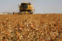 Baskan Altay 2025 Tarimsal Destek Kayitlarinin Basladigini Duyurdu