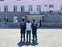 Dolandiriciliktan 5 Yil Hapis Cezasiyla Aranan Sahsi Jandarma Yakaladi