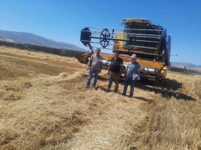 Sandikli'da Hububat Hasadi Arpayla Basladi