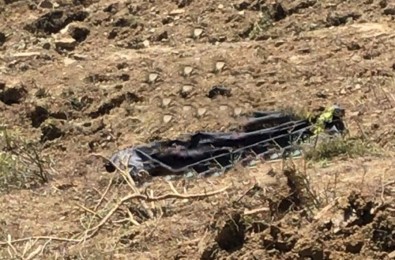 Sinop'ta Is Makinesinin Altinda Kalan Operatör Hayatini Kaybetti