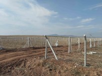 Tarim Arazilerini Aykiri Kullananlara Ceza Yagdi