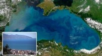 Uzman isim 'artık fantezi olmaktan çıktı' diyerek uyardı: Sürekli ısınan Karadeniz ölüyor
