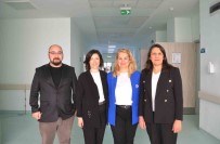 Uzmanlar Beyin Pili Tedavisini Ayrintilari Ile Anlatti