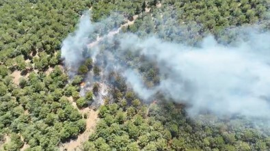 Bayramiç'teki Orman Yangini 24 Saat Sonra Kontrol Altina Alindi