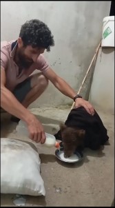 Gece Yarisi Kapisina Gelen Yavru Ayiyi Aç Göndermedi