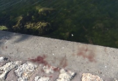 Avcilar'da Feci Cinayet Açiklamasi Önce Biçakladilar, Sonra Denize Attilar