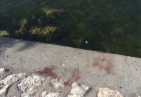 Avcilar'da Feci Cinayet Açiklamasi Önce Biçakladilar, Sonra Denize Attilar