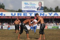 Ordu'da Pehlivanlar Kiran Kirana Yaristi Haberi
