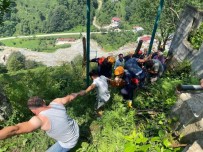 Rize'de Çay Toplarken Elektrik Akimina Kapilan Genç Verdigi Yasam Savasini Kaybetti Haberi