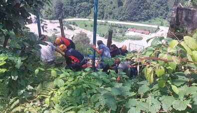 Rize'de Çay Toplayan Vatandas Elektrik Akimina Kapilarak Agir Yaralandi