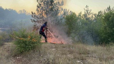Tokat'ta Korkutan Orman Yangini