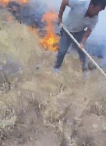 Aksaray'da Aniz Yangini Ormanlik Alana Siçradi