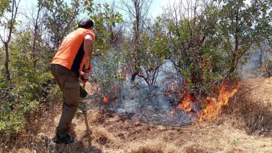 Bingöl'deki Orman Yanginlari Söndürüldü