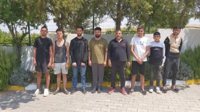 Ipsala'da 8 Kaçak Göçmen Yakalandi