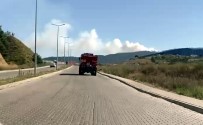 Karabük'te Orman Yangini Haberi