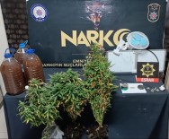 Kenevir Yetistirmek Için Evinin Balkonuna Gizli Sera Kurdu Haberi