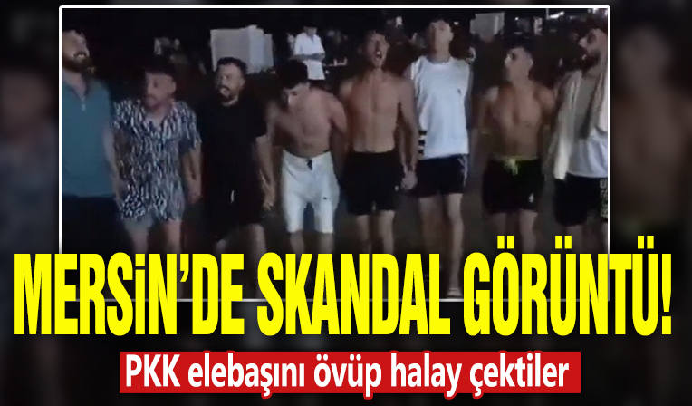 Mersin'de bir grup, halay çekerken PKK elebaşı Öcalan sloganları attı