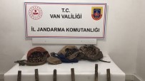 Muradiye'de Toplanmasi Yasak Olan Salep Ele Geçirildi Haberi