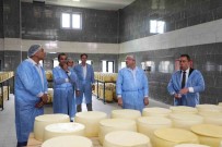 Vali Polat, Organize Sanayi Bölgesi Incelemelerde Bulundu Haberi