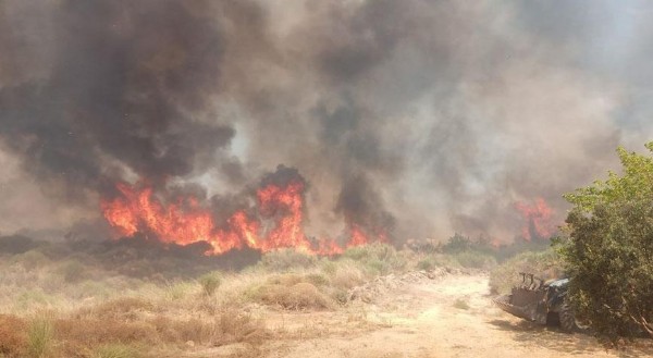 Tekirdağ'da korkutan yangın! Ekipler bölgede