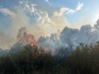 Afyonkarahisar'da Daglik Alanda Çikan Yangin Söndürüldü