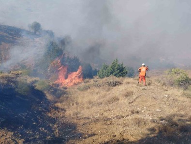 Bingöl'de Çikan Orman Yangini Söndürüldü