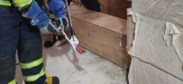 Depoya Giren Yilani Itfaiye Ekipleri Yakaladi Haberi