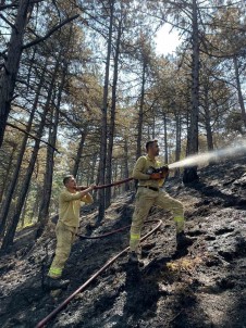Karabük'te Orman Yangininda 7 Hektar Alan Zarar Gördü