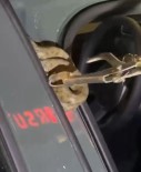 Arabaya Giren Yilani Itfaiye Ekipleri Çikardi Haberi
