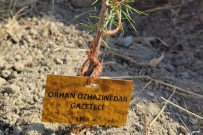 Gazeteciler Adina Fidan Diktiler Haberi