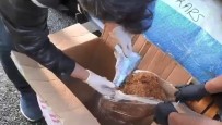 Kars'ta Tütünlerin Içerisinden Cephanelik Çikti Haberi