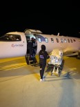 Mardin'de Hasta Bebek Ambulans Uçakla Konya'ya Sevk Edildi